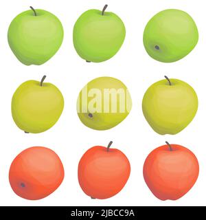 Apple set graphic color isolated illustration vector Stock Vector