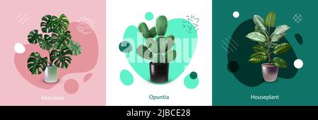 Realistic design concept with various labeled houseplants in pots isolated vector illustration Stock Vector