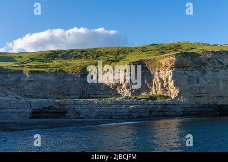 Dancing Ledge on the Jurassic Coast, Isle of Purbeck, Dorset, England, UK. Coastal scenery and a visitor attraction viewed from the sea. Stock Photo