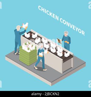 Chicken conveyor blue background with staff inspecting poultry for culling and keeping records isometric vector illustration Stock Vector