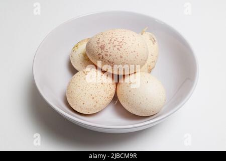 Fresh Turkey Eggs on a white background Large speckled eggs (egg shells) Stock Photo