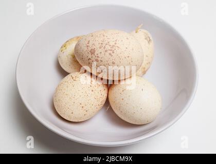 Fresh Turkey Eggs on a white background Large speckled eggs (egg shells) Stock Photo