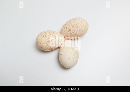 Fresh Turkey Eggs on a white background Large speckled eggs (egg shells) Stock Photo