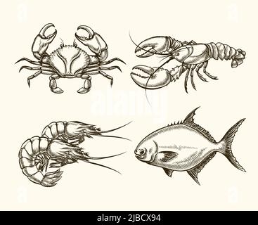 Vector seafood in hand drawn style. Ocean crab, cancer vintage, fish illustration Stock Vector