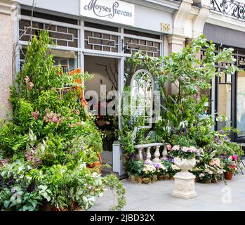 London, May 26, 2022: Streets of Chelsea get decoated with floral displays for annual Chelsea in Bloom competition Stock Photo