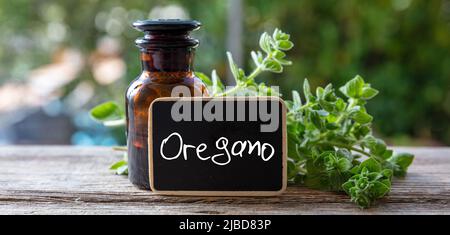 Oregano herb essential oil and text label. Aromatic culinary and therapeutic plant, aromatherapy and homeopathy. Origanum vulgare, wild or sweet marjo Stock Photo