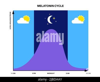 The circadian rhythm and sleep-wake cycle: how exposure to sunlight ...