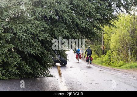 A large pine tree is seen precariously hanging over a main road of a village after strong winds bring destruction. Blurry cyclists seen in background. Stock Photo