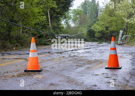 Two traffic cones are used to warn traffic of road closure due to uprooted trees and dangerous overhead power cables lying in road after high winds. Stock Photo