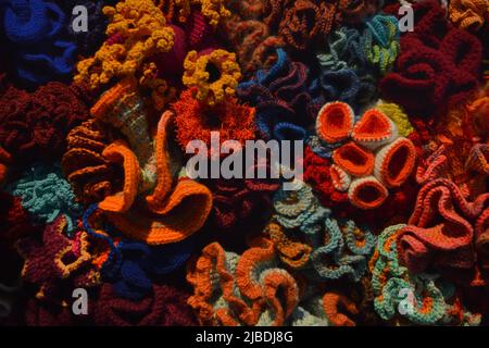 Crocheted patterns in forms of Corals in various colours Stock Photo