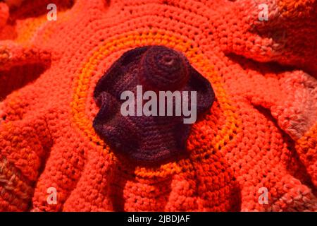 Crocheted patterns in forms of Corals in various colours Stock Photo