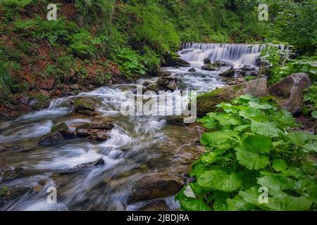 Beautiful waterfall in the forest, summertime outdoor background Stock Photo