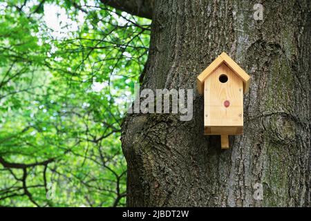 Bird house on a tree. Wooden birdhouse, nesting box for songbirds in park. Stock Photo