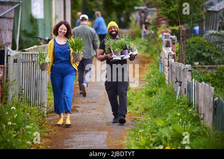 Abbey Hey Allotments, in Gorton, Manchester to make bee friendly gardens for World Bee Day Stock Photo