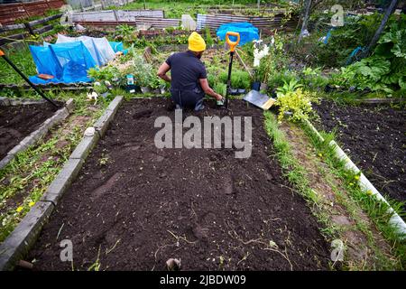 Abbey Hey Allotments, in Gorton, Manchester to make bee friendly gardens for World Bee Day Stock Photo