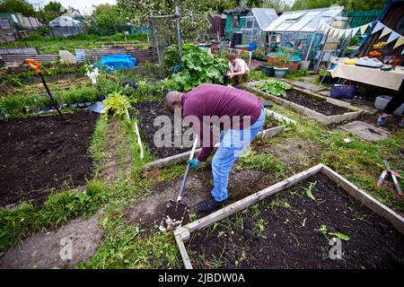 Abbey Hey Allotments, in Gorton, Manchester to make bee friendly gardens for World Bee Day Stock Photo