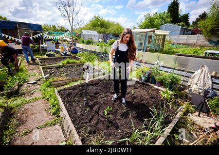 Abbey Hey Allotments, in Gorton, Manchester to make bee friendly gardens for World Bee Day Stock Photo