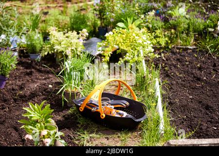 Abbey Hey Allotments, in Gorton, Manchester to make bee friendly gardens for World Bee Day Stock Photo