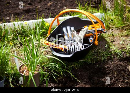 Abbey Hey Allotments, in Gorton, Manchester to make bee friendly gardens for World Bee Day Stock Photo