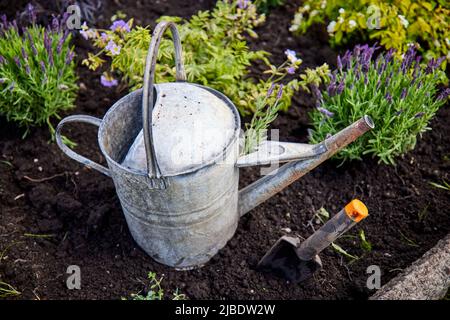 Abbey Hey Allotments, in Gorton, Manchester to make bee friendly gardens for World Bee Day Stock Photo