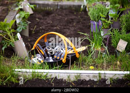 Abbey Hey Allotments, in Gorton, Manchester to make bee friendly gardens for World Bee Day Stock Photo