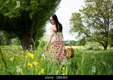 beautiful Asian woman carrying a picnic basket in a field in summer Stock Photo