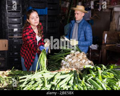 Couple of farmers peeling and sorting freshly harvested green onions Stock Photo