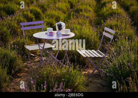 Served table with chairs for an outdoor tea party in a field with lavender at sunset Stock Photo