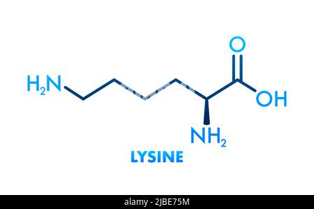 Lysine formula, great design for any purposes. Essential Amino Acid simple skeletal formula. Stock Vector