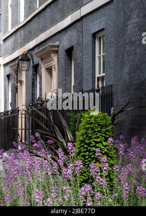 Exterior of 10 Downing Street, Whitehall, official residence and office of the Prime Minister of the UK. The address is known as Number 10. Stock Photo