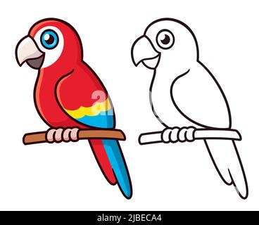 Cute cartoon macaw parrot drawing. Colorful red bird and black and white line art. Simple vector clip art illustration. Stock Vector