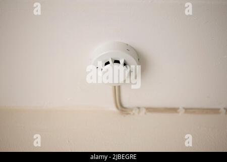smoke sensor which I installed in the ceiling Stock Photo