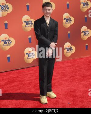 LOS ANGELES, CA - JUNE 4: Javon Walton, at the Los Angeles Premiere of