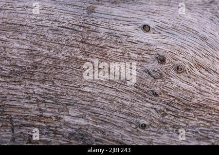 White soft wood surface as background Stock Photo