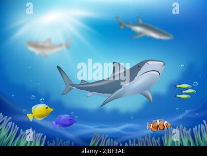 Underwater background. With fishes swimming underwater in ocean or sea decent vector shark in realistic style Stock Vector