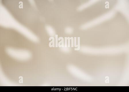 Abstract background with tropical palm leaves shadow on beige wall, Creative minimal design with copy space, Summer concept, flat lay Stock Photo