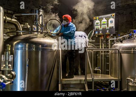Two workers work on the platform between two brewing kettles at the Segull 67 brewery in Siglufjörður, northern Iceland, one of them cleaning the open kettle hatch with water. A staircase leads up to the platform, with the A.H. Technologies control panel glowing in the background. The small family-run brewery is housed in a former fish factory and belongs to the Independent Craft Brewers of Iceland (ICBI). Its name combines "segull", Icelandic for magnet, with 67, the lucky number of founder Marteinn B. Haraldsson's family. A compass's magnetic needle is part of the logo. Stock Photo