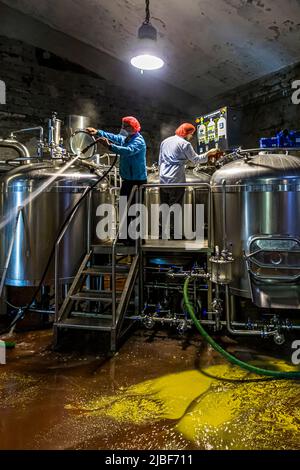 Two workers in red hairnets clean two brewing kettles at the Segull 67 brewery in Siglufjörður, northern Iceland: one sprays water into the left kettle, the other works at the right one. Yellowish liquid has collected on the floor. The small family-run brewery is housed in a former fish factory and belongs to the Independent Craft Brewers of Iceland (ICBI). Its name combines "segull", Icelandic for magnet, with 67, the lucky number of founder Marteinn B. Haraldsson's family. A compass's magnetic needle is part of the logo. Stock Photo