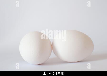 Eggs, profile view of two white eggs photo in studio shot. Isolated on white background with soft shadow, selective focus. Stock Photo