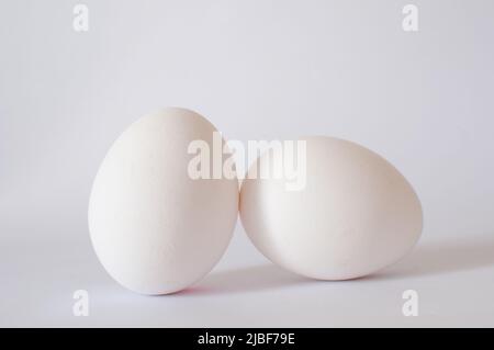 Two eggs, close up view of white raw chicken eggs photo in studio shot. Isolated on white background with soft shadow, selective focus. Stock Photo