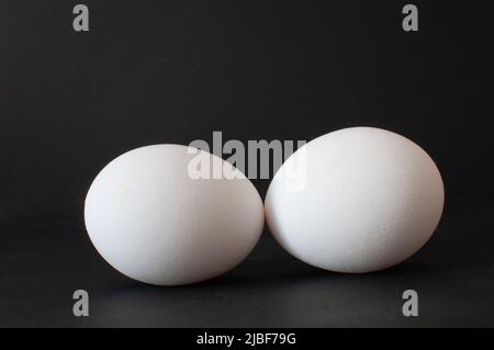 Two eggs, close up detail view of white raw chicken eggs photo in studio shot. Isolated on dark background, selective focus. Stock Photo