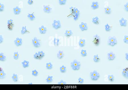 Seamless floral pattern of spring forget-me-not flowers on blue background top view flat lay Stock Photo