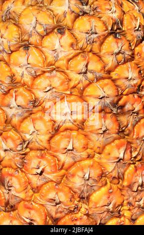 Close up of pineapple skin texture. Peel of ripe Pineapple (Ananas comosus) of orange color Stock Photo