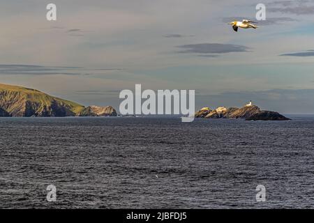 The lighthouse at Muckle Flugga is situated on the most northerly rock in the Shetland Isles Stock Photo