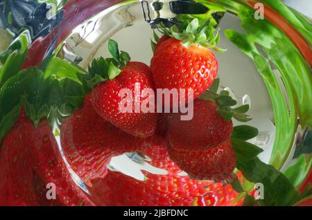 Strawberrys like in Wimbledon. Stock Photo