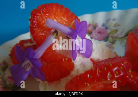 Strawberrys like in Wimbledon. Stock Photo