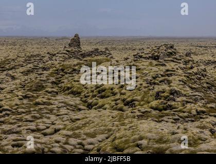 Eldhraun lava field covered in moss Iceland Stock Photo