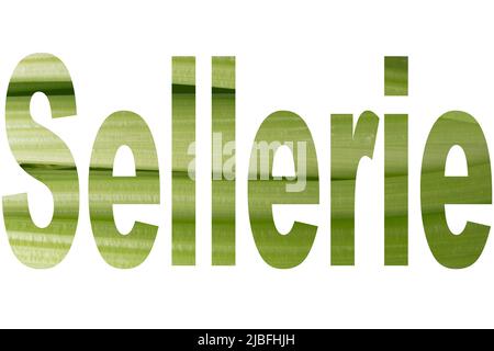 Word CELERY with transparency of juicy stalks of celery Stock Photo