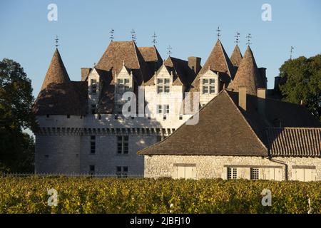 FRANCE, DORDOGNE (24) PURPLE PERIGORD. MONBAZILLAC. THE CASTLE AND THE VINEYARD OF MONBAZILLAC, AOC BERGERAC Stock Photo