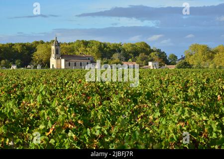 Gironde (33). Graves. Wines and vineyards of Medoc. Margaux. Vineyards of Chateau Palmer, Third Grand Clu Classe Margaux in 1855, has now its own phot Stock Photo